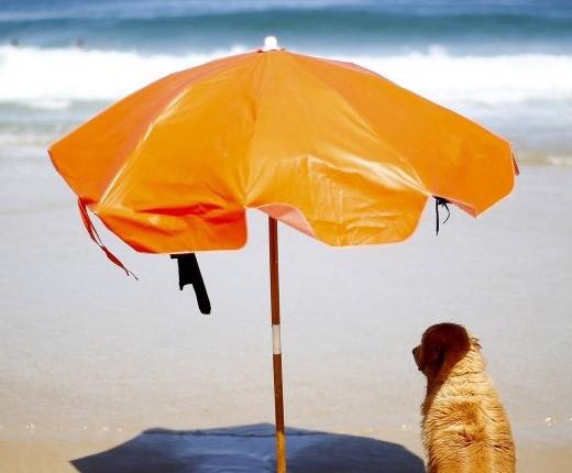 Keramik-gegen-sonnenschirme